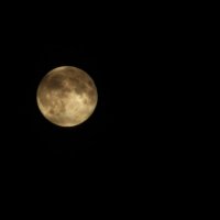 Именно сегодня, 27/09/2015, такая Луна.В таком виде она встретится нам через 18 лет. :: Олег Стасенко