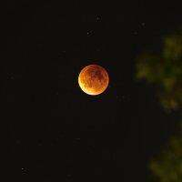 Blood Moon (Кровавая Луна) из Янкерс, Нью Йорк :: Vadim Raskin