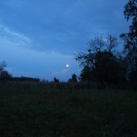 лунный вечер :: Геннадий Кульков