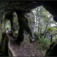 Madeira. :: Jossif Braschinsky