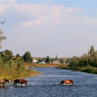 Переправа :: Евгений Юрков