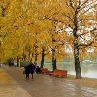 Осень в парке :: Анатолий Цыганок