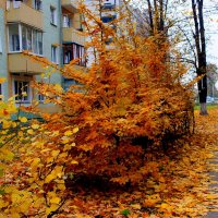 городская осень :: Александр Прокудин