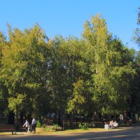 В парке, конец сентября :: Леонид 