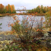 СЕНТЯБРЬ В КАРЕЛИИ :: Николай Гренков