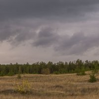 *** :: Сергей Исаенко