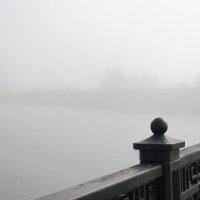 Всё замерло в тумане... :: Ната Волга