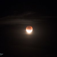 Затмение Луны 28.09.15 04.30 :: Михаил Леонтьев