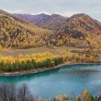Катунь-река :: Виктор Четошников