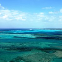 Многоцветный океан Маврикия :: Tatiana Belyatskaya
