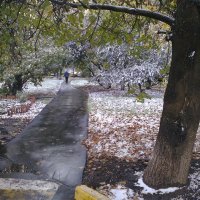 После снегопада. :: Oleg4618 Шутченко