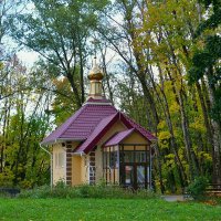 Приход православного храма :: Милешкин Владимир Алексеевич 