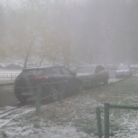 Всё в снегу, как в тумане :: Владимир Ростовский 