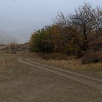 Поездка в осень :: Александр Грищенко