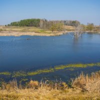 Озеро в Тиганово :: Евгений Дубовцев