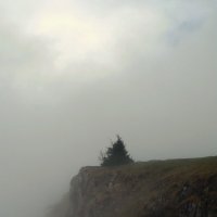 Туман :: Анастасия 