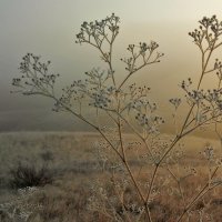 Октябрьское утро :: Игорь Александрович Оренбург