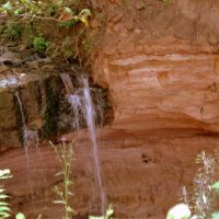 Лесной водопад :: Томчик Подольская