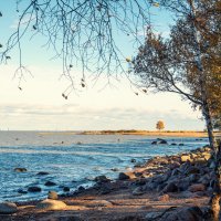 Берег Финского залива, осень :: Елизавета Вавилова