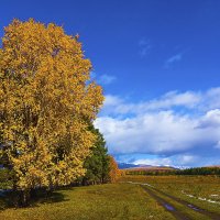 Дорога в горы :: Анатолий Иргл