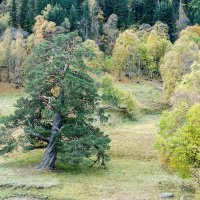 Краски осени. :: Геннадий Оробей