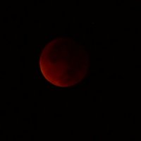 "Кровавая"  луна :: kolyeretka 