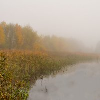 *** :: Владимир Фисенко