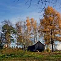 Осень :: Владимир Воробьев