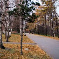 Осенним вечером в сквере... :: Александр Попов