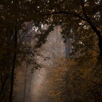 Осень- Любовь или одиночество :: Олег Лопухов