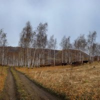 Осенняя панорама. :: Виктор Гришенков