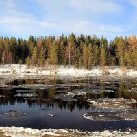 Ледостав :: Галина Новинская