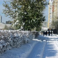 Первый снег :: раиса Орловская