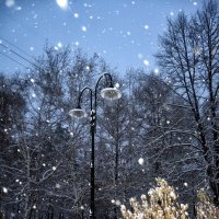 снег :: Натали Акшинцева