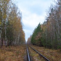 Путь в Осень :: Эльвира Сагдиева