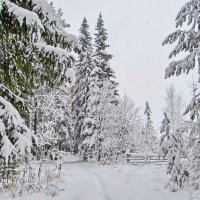 Снег идёт :: Yury Kuzmič