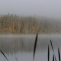 Поздняя осень. :: Андрей Скорняков