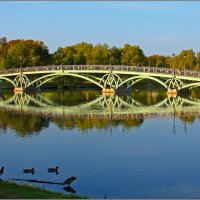 Горбатый мост в Царицыно :: Olenka 