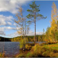 Музыка Осени. :: Юлия Геннадьевна Гончарова