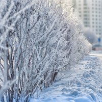 городские зарисовки :: Андрей Выровой