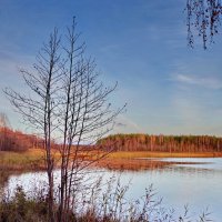Даниковское озеро :: Валерий Талашов