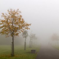 Туманный Альбион: Дорога в туман :: Дмитрий Сорокин