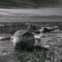 На Куршском заливе :: Игорь Вишняков