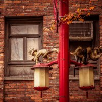 Chinatown: бездомные драконы :: Владимир Gorbunov