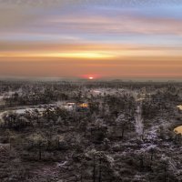 Осеннее утро на болоте Кемери :: Юувиналий Дурнов