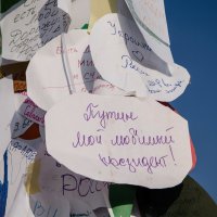 Севастополь. День Народного Единства :: Анна Выскуб