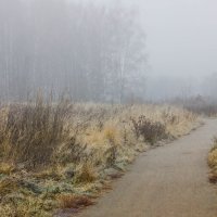 Дорожка в туманный парк :: Владимир Буравкин