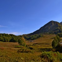 АЛЬПИЙСКИЕ ЛУГА, НА ХОДУ. :: Виктор Осипчук