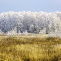 Первая примерка :: Александр Гурьянов