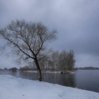 Одинокое деревце. :: Виктор Гришенков